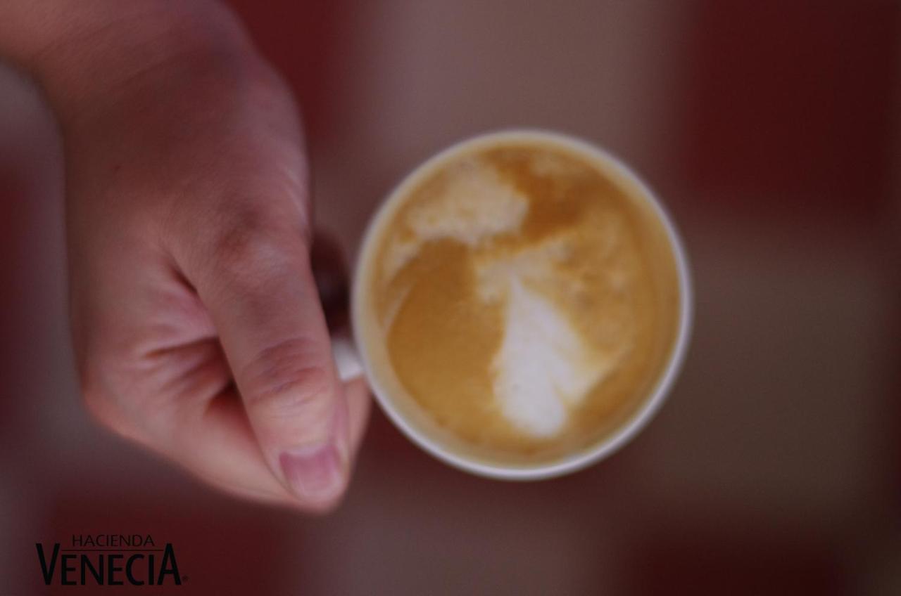 Hacienda Venecia Coffee Farm Hotel San Peregrino エクステリア 写真