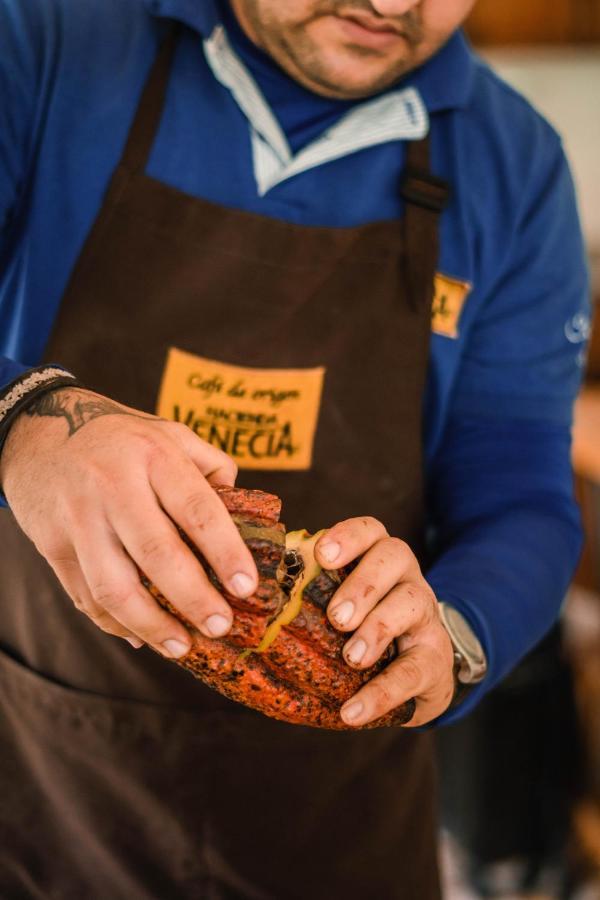 Hacienda Venecia Coffee Farm Hotel San Peregrino エクステリア 写真