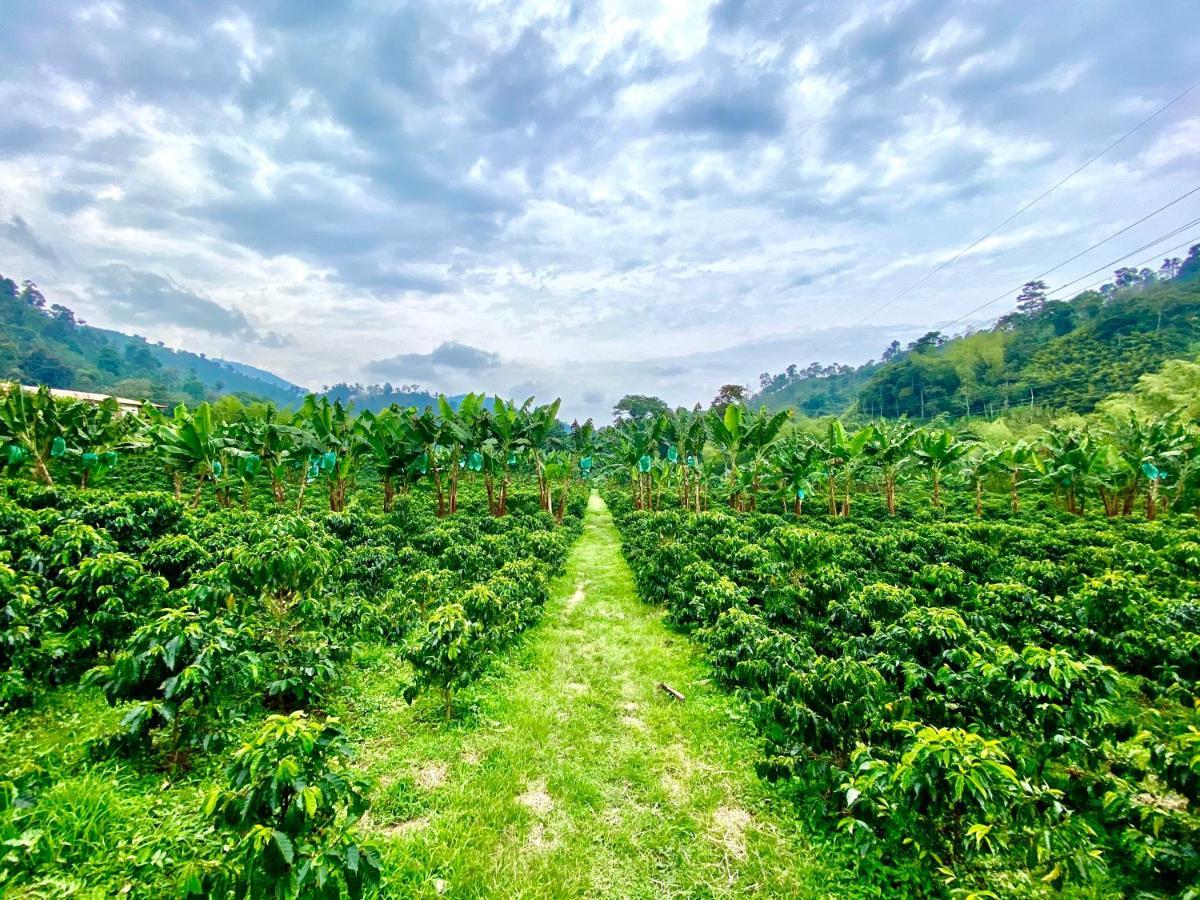Hacienda Venecia Coffee Farm Hotel San Peregrino エクステリア 写真