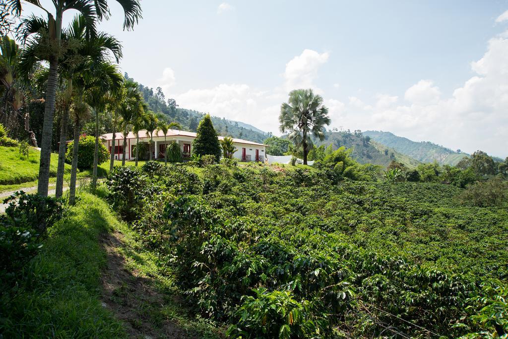 Hacienda Venecia Coffee Farm Hotel San Peregrino 部屋 写真